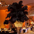 10pcs Natural Ostrich Feather Craft Plume for Wedding Centerpieces Home Decoration (14-16inch, Black)...