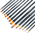 Transon 14pcs Art Painting Brush Set for Acrylic, Watercolor, Gouache, Oil and Hobby Painting Black Color...