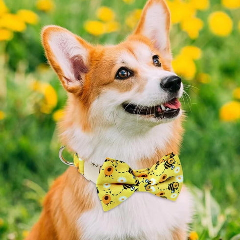Beirui Soft & Comfy Dog Bow Tie Collar with Multicolor Patterns - Cute Boy Girl Dog Collars with Metal Buckle - Detachable Bowtie Dog Collar Gifts...