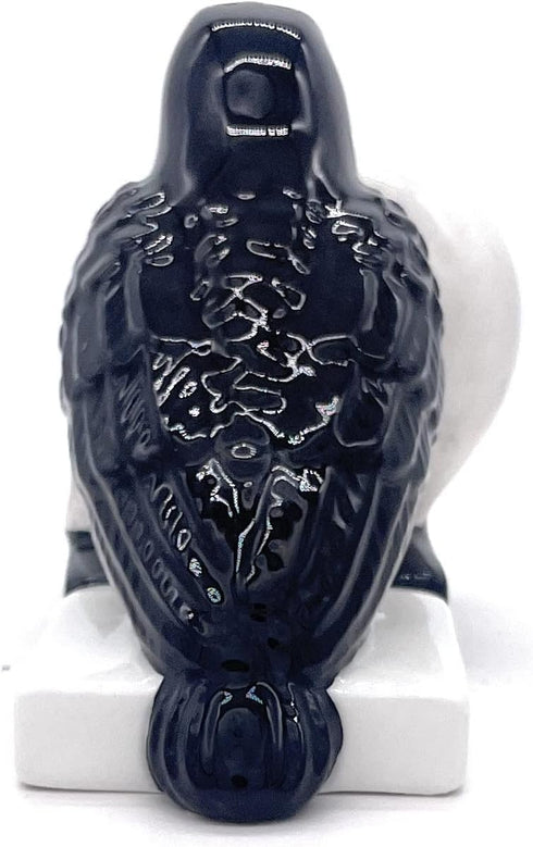 Rustix Quoth The Raven Ceramic Gothic Halloween Decor Cute skull Horror Salt and Pepper Shaker Set Scary Spooky and witchy Gift Fall Season Decor ...
