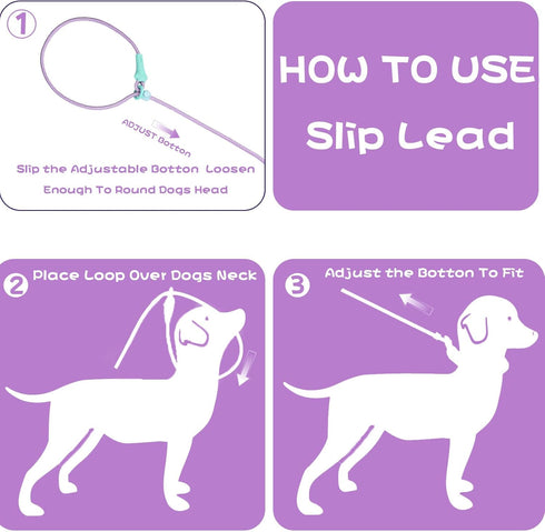 No Pull Dog Leash Slip Lead Dog Leash Dog Leash for Small Medium Large Dogs 6Ft 8 Colors Classic Dog Leash Dog Rope (Purple)...