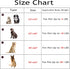 MACEVIA Fluffy Fleece Dog Blankets, Warm Soft Fuzzy Pets Blankets for Puppy, Small, Medium, Large Dogs and Cats, Plush Pet Throws for Bed, Couch, ...