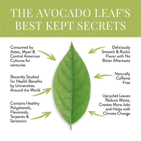 Avocado Leaf/Chamomile Tea – Caffeine-free, Herbal Tea | Immune Support | Cold Brew or Hot Tea | 15 Tea Bags - 30 Servings (Gluten Free & Non-GMO)...