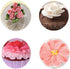 BeeSpring 5 pcs Petal Piping Nozzles Cake Decorating Tips Rose Flower Stainless Steel Icing Nozzle Pastry DIY Decorating Tools for Cake Cupcakes C...