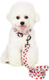 2PCS Watermelon Dog Collars with Funny Pet Leash Set Dogs Adjustable Collar for Small to Large Dog Collars Set (XL)...