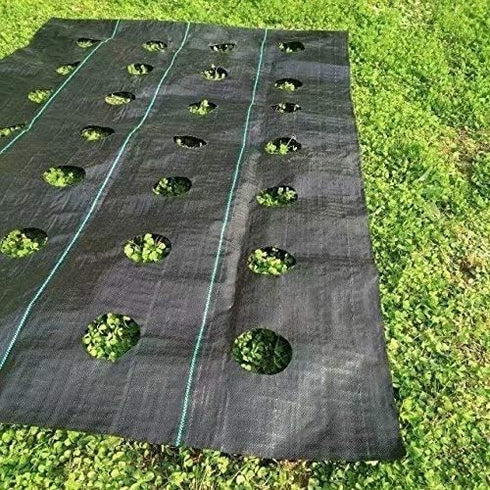 Agfabric Weed Barrier Landscape Fabric 4x6ft with Planting Holes, Hole Diameter 4", Hole Spacing 8", Row Spacing12 on Center...