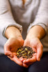 Golden Moon Tea Organic Masala Chai Black Tea - Pure & Authentic Blend - Loose Leaf, Non-GMO - Travel Tin (9 Servings)...