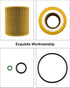 Oil Filter Element Fit for BMW 228i 320i 328i 428i 528i X1 X4 Z6 F20 F21 F30 F31 Some Models, Replace HU816Z 11427953125 11427640862, with O-ring ...