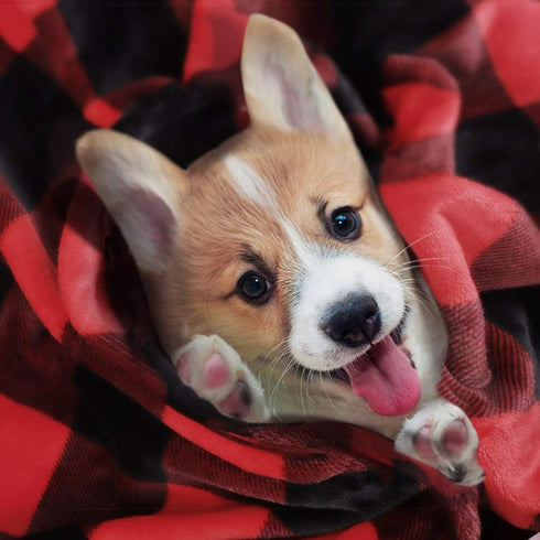 PiccoCasa Pet Dog Blanket, Flannel Fleece Puppy Blanket Plaid Plush Warm Rug Blankets for Small-Medium Dogs Cats Sleeping Mat, 30 x 40 Inches, Sca...