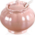 Porcelain Sugar or Salt Bowl with Lid and Spoon, Ceramic Spice Keeper Pearlescent Glazed Design Modern Kitchen Decor, 9 Ounce, Pink...