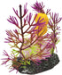 Fish Tank Conch Decorations, Aquarium Plants Decoration Seashell Coral Ornaments...