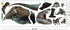 Kiddale T-Rex Giant Wall Stickers,Peel and Stick Removable Dinosaur Wall Decals for Kids Boys Girls Adult Bedroom Living Room...
