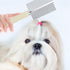 4 PACK Dog Cat Pet Comb Stainless Steel Cat Double-Sided Grooming Brush Professional Dog Grooming Comb Pet Hair Brush Cat Flea Comb for Long Short...