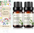 2-PACK Lily of Valley Essential Oil - 100% Pure Organic Natural Plant (Convallaria majalis) Lily of Valley Oil for Diffuser, Aroma, Spa, Massage, ...
