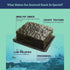 Organic DAECHUN(Choi's1) Seaweed Snacks, 20 Pack, Original, Product of Korea Premium Great...