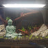Meditating Buddha Statue Natural Sandstone Buda Sculptures for Fish Tank Aquarium Decorations Home Zen Garden Bonsai Ornament Decor, Gifts (Fearle...