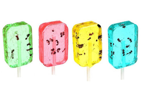 Hotlix Assorted Ant Sucker Lollipop - Pack of 4 - Blueberry, Apple, Banana, Watermelon...
