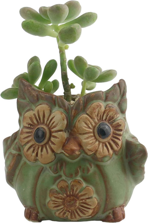 Ogrmar 6Pack Owl Plant Window Boxes Cute Owl Flower Pot/Modern Ceramic Succulent Planter Pots/Tiny Flower Plant Containers Animal Decor (Owl Flowe...