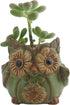 Ogrmar 6Pack Owl Plant Window Boxes Cute Owl Flower Pot/Modern Ceramic Succulent Planter Pots/Tiny Flower Plant Containers Animal Decor (Owl Flowe...