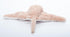 The Petting Zoo Cownose Ray Stuffed Animal Plushie, Gifts for Kids, Wild Onez Ocean Animals, Stingray Plush Toy 15 inches from Tip of Tail to Head...