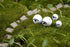 9pcs Sheep Micro Landscape Ornaments, Miniature Figurines Fairy Garden Accessories, Garden DIY Kit...