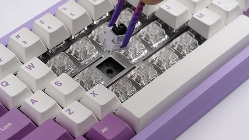 Chilkey WS Switch Puller, Titanium Alloy Keyboard Switch Puller for Mechanical Gaming Keyboard Switches Prism, Switch Remover Tool for Replacement...