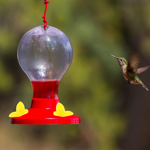 POPETPOP Hummingbird Feeders Replacement Flowers, Replacement Flowers for Hummingbird Feeders, Bird Feeding Ports Replacement Hummingbird Feeders ...