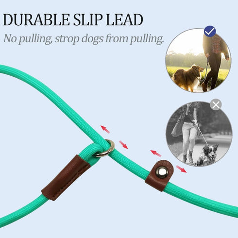MayPaw Slip Lead Control Leash for Dogs No Pull, 13+ Colors Classic Dog Leash 7FT Pet Slip Leash, 1/4” Rope Leash for Small Medium Animals, Turquo...