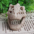 Opexicos 2Pcs 8.5 x 5.5 x 4.5 cm Resin Dinosaur Skull Aquarium Decoration Terrarium Reptile Fish Tank Ornament...