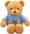 11.8 inches Teddy Bear Stuffed Animals Soft Plush Cute Teddy Bear with Hoodie Doll for Boys Girls (Blue)...