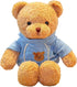 11.8 inches Teddy Bear Stuffed Animals Soft Plush Cute Teddy Bear with Hoodie Doll for Boys Girls (Blue)...