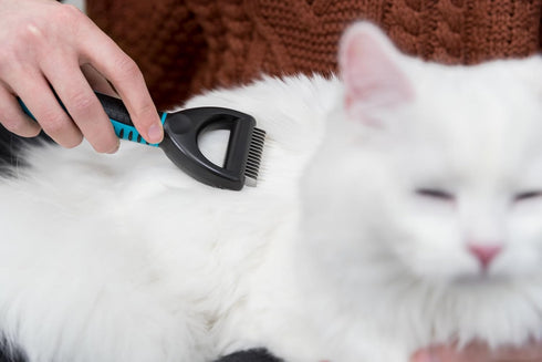 TRIXIE Pet Deshedding Undercoat Rake, For Cats and Dogs, Detangle and Thin 2" x 7" (5x18cm)...