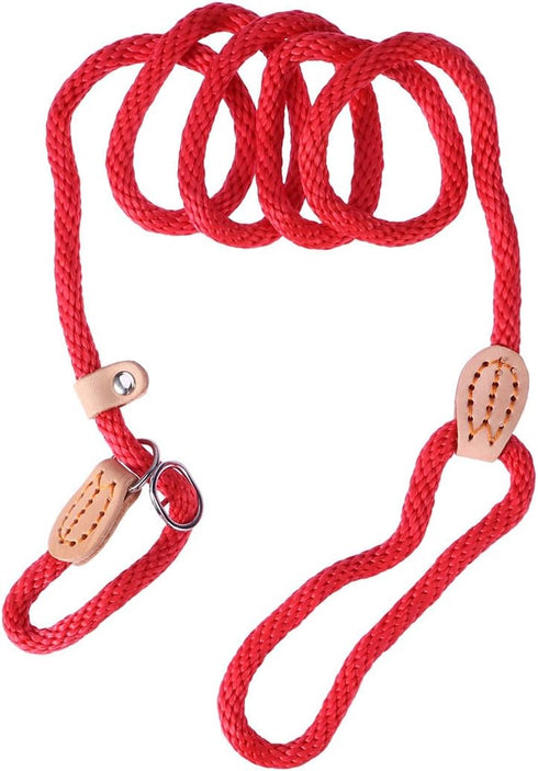 POPETPOP Nylon Dog Slip Training Leash Collar Rope for Pets Training (Red)...