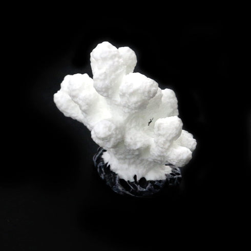 Semetall Sea Coral Sculpture, 2Pcs White Resin Aquarium Ornaments for Fish Tank Decorations...