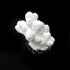 Semetall Sea Coral Sculpture, 2Pcs White Resin Aquarium Ornaments for Fish Tank Decorations...
