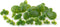 Framendino, 36 Pack Artificial Mini Duckweed with Root Plastic Floating Fish Plants for Aquarium Fish Tank Decor...