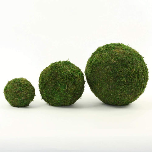 Nice purchase Handmade Natural Green Plant Moss Balls Decorative for Home Party Display Decor Props (6 in)...