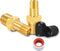GODESON 1/8" NPT Tank Valve, Anti-Corrosion Brass Schrader Valve with 1/8" Male NPT and Caps, Air valve Using with Air Compressor Tanks (Pack of 2...