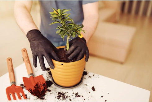 Tramontina 3 Piece Garden Set, Wood Handles, Plastic Packaging...