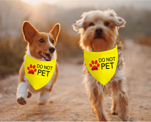 JXGZSO 1 Piece Stop Dot Not Pet/Stop No Touch No Talk/Stop Do Not Distract Dog Bandana (DO NOT PET Y D)...