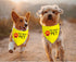 JXGZSO 1 Piece Stop Dot Not Pet/Stop No Touch No Talk/Stop Do Not Distract Dog Bandana (DO NOT PET Y D)...