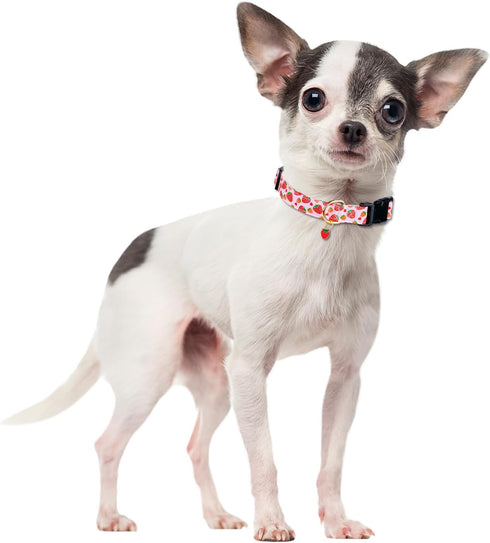 Cute Cotton Dog Collar for Small Medium Large Dogs Special Design Cute Pink Strawberry Dog Collar for Girl Female Dogs Soft Adjustable Strawberry ...