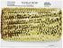Expo International 2-Row Metallic Stretch Sequin Trim, Versatile Sequins for Crafts, Durable Trim for Costumes, Fashion, and Home Decor, Gold, 20-...