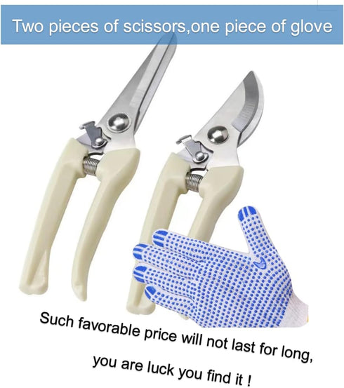 4-pack long Garden Flower Scissors 7.7 Inch...