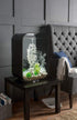 BiOrb 46093.0 Sea Fan Small Black Aquariums...