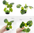 Smoothedo-Pets Aquarium Plants Fish Tank Decorations 6inch Plastic Artificial Plant Goldfish Waterscape Betta Fish Hides/Rest (Leafs/Stone Cave)...