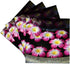3dRose CST_76058_3 Flowers Floating in Water Fountain, Bangkok, thailand-As36 Aje0004 Adam Jones Ceramic Tile Coasters, Set of 4...