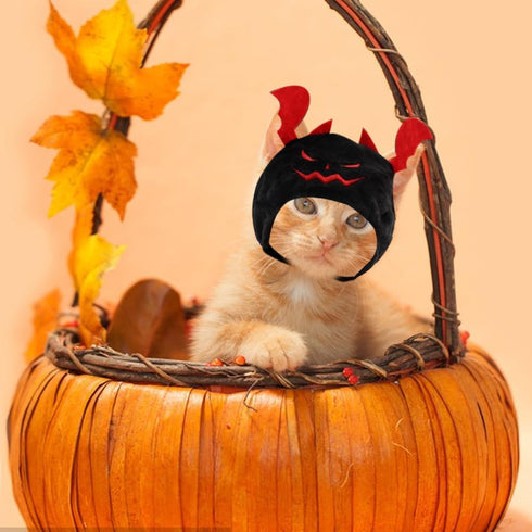 Hying Cats Halloween Demon Hat for Dogs Pet, Adjustable Cute Black Pet Devil Cap for Halloween Cosplay Costume Puppy Kitten Party Dress Up Accesso...