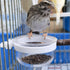4 pcs Detachable Transparent Bowls for Canary Finch Parrot Seed Water Feeder...