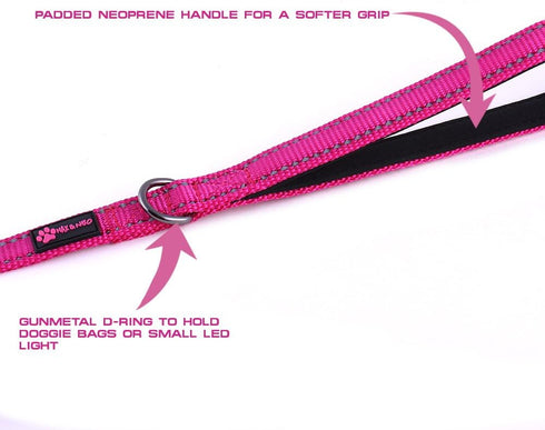 Max and Neo Small Dog Reflective Nylon Dog Leash - We Donate a Leash to a Dog Rescue for Every Leash Sold (BLUE, 4x5/8)...